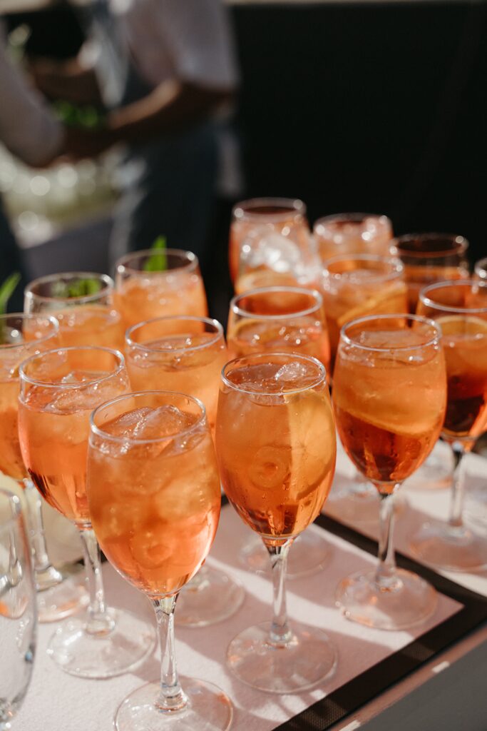 Cocktail hour drinks at Maleny Country Estate wedding, Sunshine Coast Hinterland